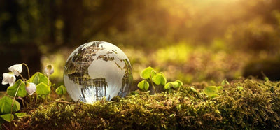 Sustainability at Sunny Cords